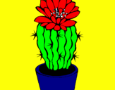 Disegno Cactus fiorito  pitturato su ANDREA
