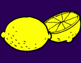 Disegno limone  pitturato su GRETA