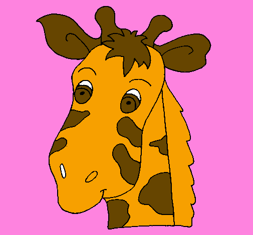 Muso di giraffa