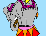 Disegno Elefante in scena  pitturato su aurora