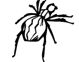Disegno Vedova nera  pitturato su scarafaggio