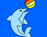 Disegno Delfino con una palla  pitturato su serena