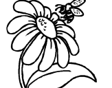 Disegno Margherita con ape  pitturato su cinzia