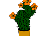 Disegno Fiori di cactus  pitturato su lucia