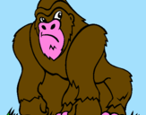 Disegno Gorilla pitturato su ELENA