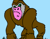 Disegno Gorilla pitturato su vito      mamma