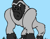 Disegno Gorilla pitturato su nicolò cancilla