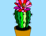 Disegno Cactus fiorito  pitturato su liniana   zippi  AAAAAAAA