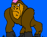 Disegno Gorilla pitturato su daddo