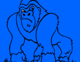 Disegno Gorilla pitturato su Niccolo