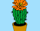 Disegno Cactus fiorito  pitturato su maria
