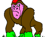 Disegno Gorilla pitturato su damiano m 