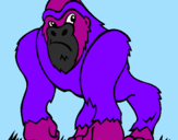 Disegno Gorilla pitturato su dani