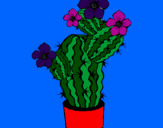 Disegno Fiori di cactus  pitturato su simona