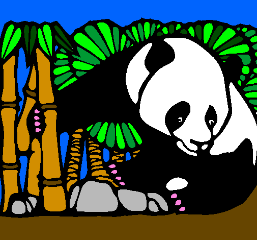 Orso panda con bambù 