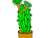 Disegno Cactus fioriti pitturato su marco