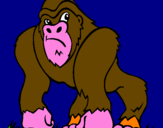 Disegno Gorilla pitturato su tommaso mastinu