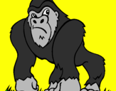 Disegno Gorilla pitturato su luigi