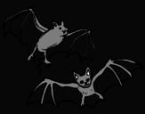 Disegno Un paio di pipistrelli  pitturato su jacopo