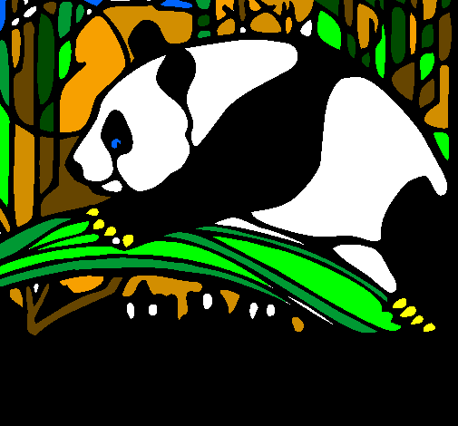 Oso panda che mangia 