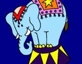 Disegno Elefante in scena  pitturato su vanessa Vaselli