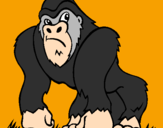 Disegno Gorilla pitturato su kilo