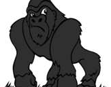 Disegno Gorilla pitturato su        ale             
