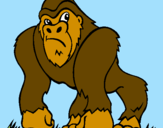 Disegno Gorilla pitturato su ago  marty