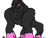 Disegno Gorilla pitturato su tommaso galeazzi