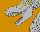 Disegno Scheletro di Tyrannosaurus rex pitturato su linda