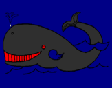 Disegno Balena  pitturato su alessio