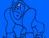 Disegno Gorilla pitturato su ketty