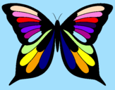 Disegno Farfalla pitturato su kiara