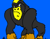 Disegno Gorilla pitturato su Carlotta