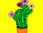Disegno Fiori di cactus  pitturato su silvestro