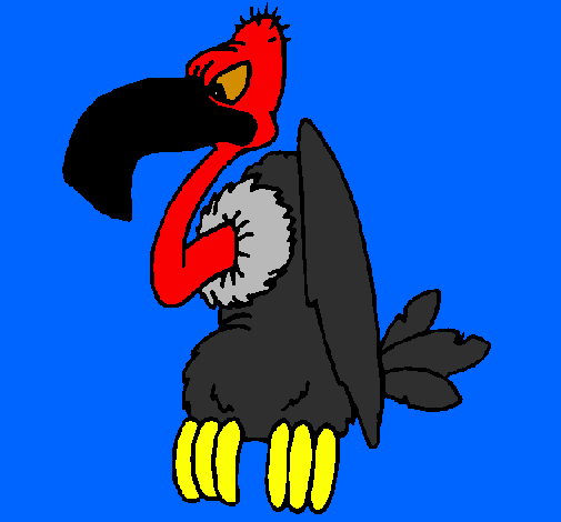 Avvoltoio 