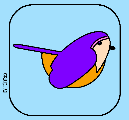 Uccello II
