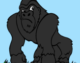 Disegno Gorilla pitturato su mario cella