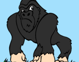 Disegno Gorilla pitturato su mario