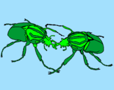 Disegno Scarabei pitturato su insetto