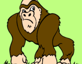 Disegno Gorilla pitturato su elvira