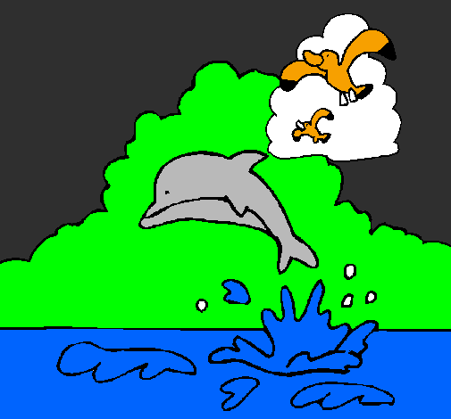 Delfino e gabbiano 
