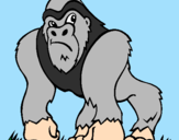 Disegno Gorilla pitturato su sissi