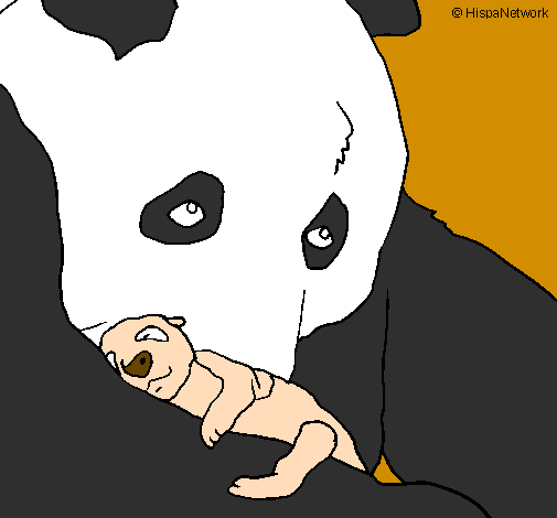 Orso panda con il suo cucciolo