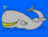 Disegno Balena  pitturato su CAO PALOMA