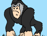 Disegno Gorilla pitturato su DAO
