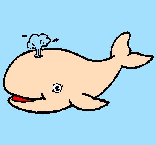 Balena che spruzza 
