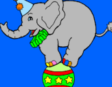 Disegno Elefante sulla palla  pitturato su alice