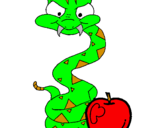 Disegno Serpente con la mela  pitturato su matteo