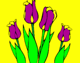 Disegno Tulipani  pitturato su giovanni